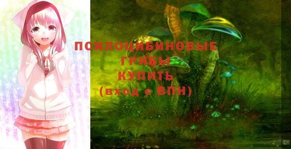 Альфа ПВП Абдулино