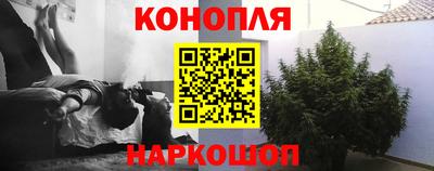 mdpv Кингисепп