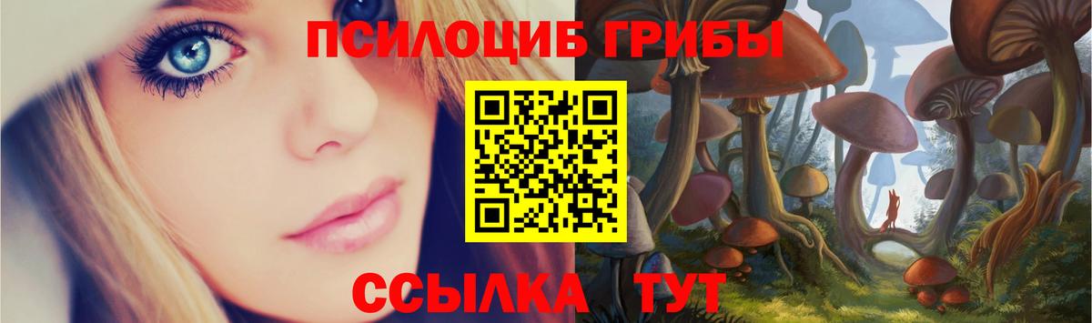 наркота  Галлюциногенные грибы GOLDEN TEACHER  Вход с VPN  Мирный 